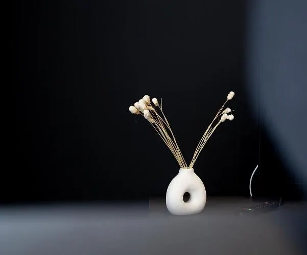 شقة Le Ruthenois T2 Avec Terrasse, Classe Meuble De Tourisme